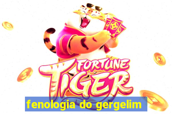 fenologia do gergelim